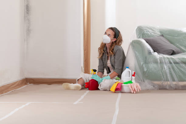 Reliable Mold Remediation contractor in Wenham, MA by WQB Mold Removal